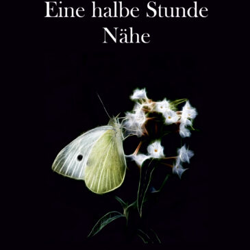 Holger Küls: „Eine halbe Stunde Nähe“